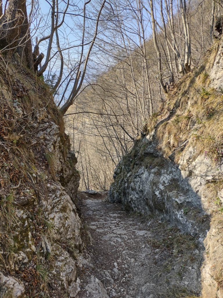 sentiero del viandante variante bassa lierna - varenna