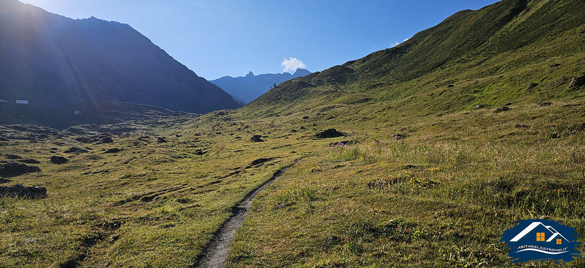 sentiero di salita verso il Colle del Malatrà in Val Ferret