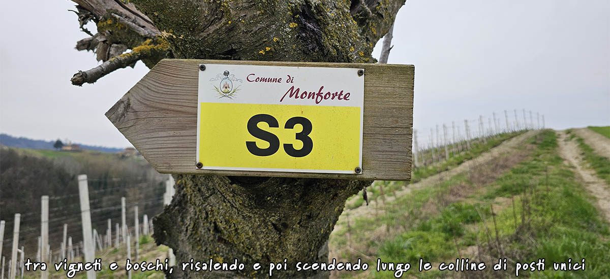 sentiero S3 Monforte D'Alba