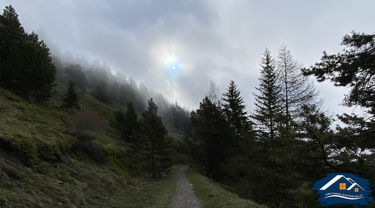 sentiero di salita al Rifugio Mont Fallere