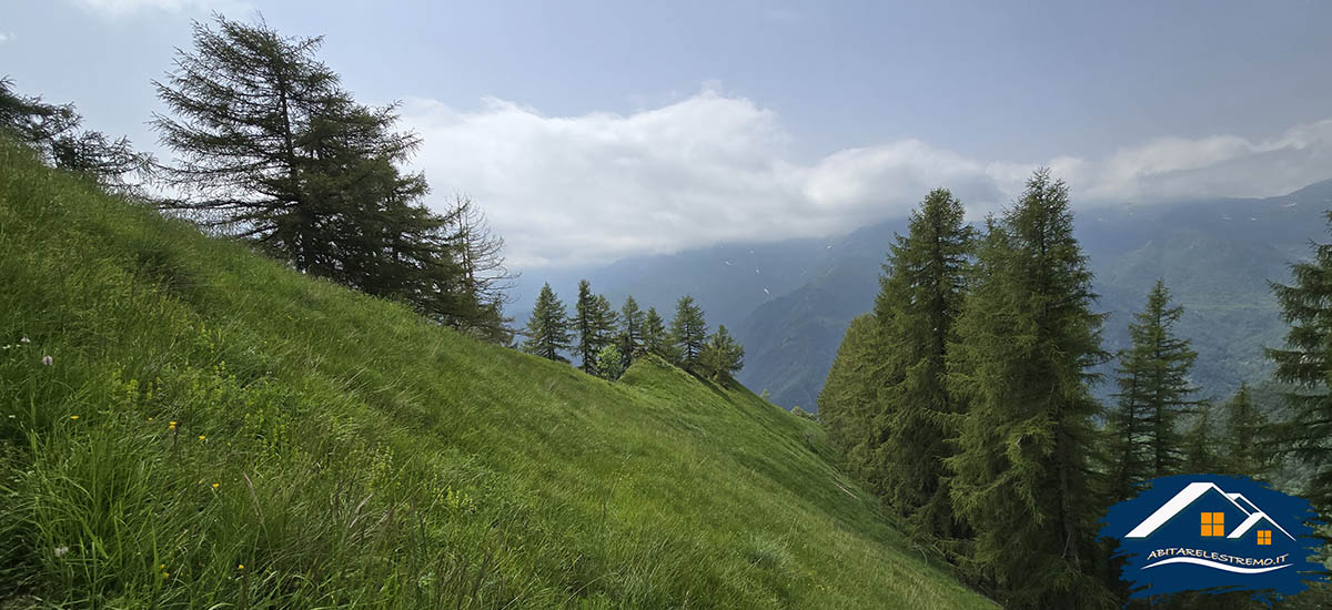 trekking al Colle della Margherita in Valle Grana