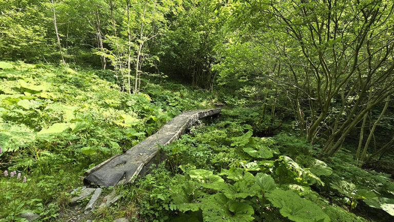 il ponticello di legno che attraversa il Rio Valliera