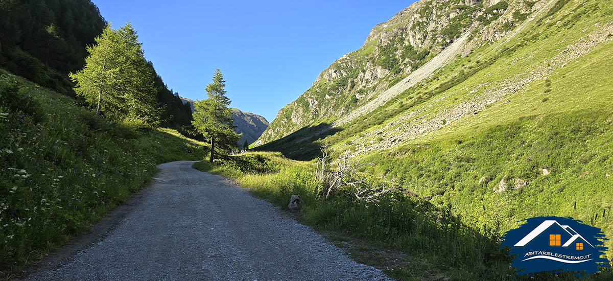 sentiero n° 12 della valgrisenche - rifugio bezzi