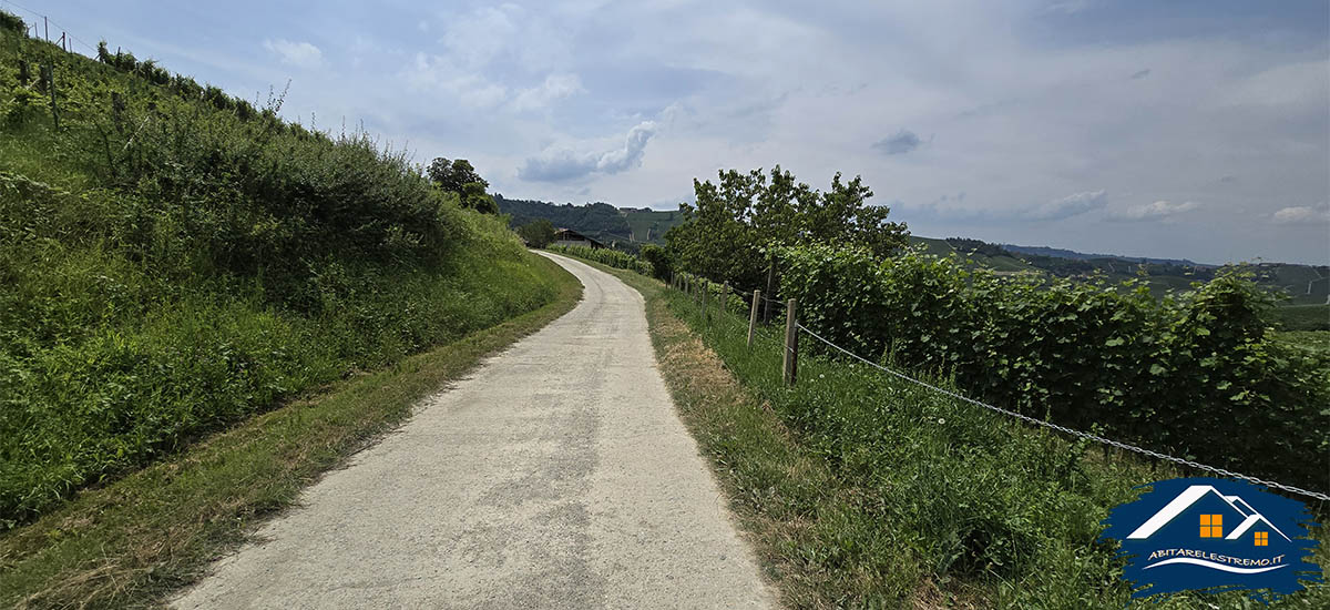 sentiero Serralunga d'Alba - Monforte d'Alba