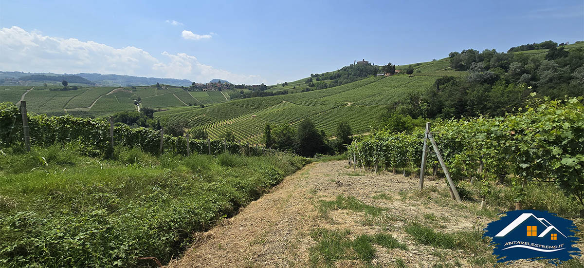 poco dopo Strada Fontanazza a La Morra