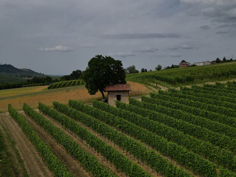 sentiero novello - barolo