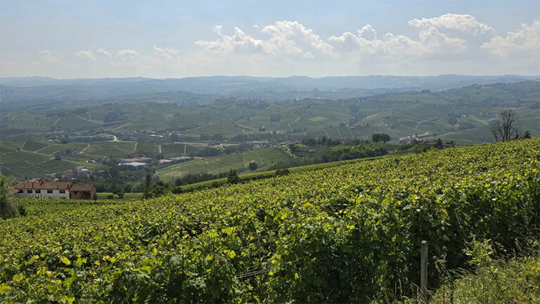 langhe in ebike