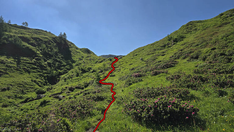 il sentiero di salita che porta verso l'Alpe Balmelle