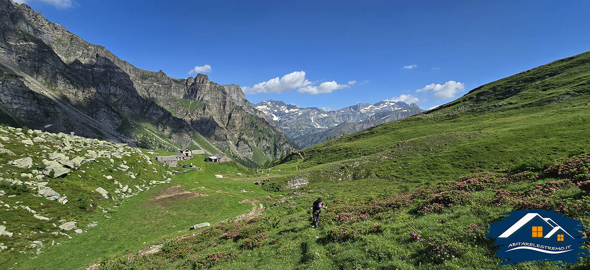 il panorama dall'Alpe Balmelle