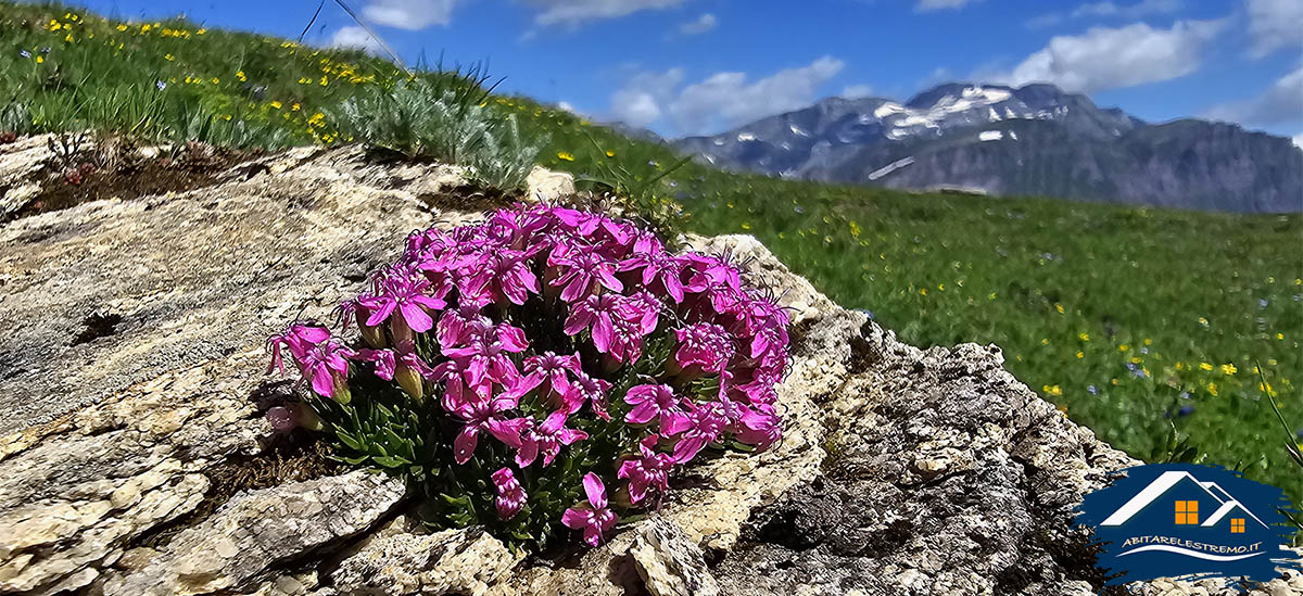 Monte Teggiolo