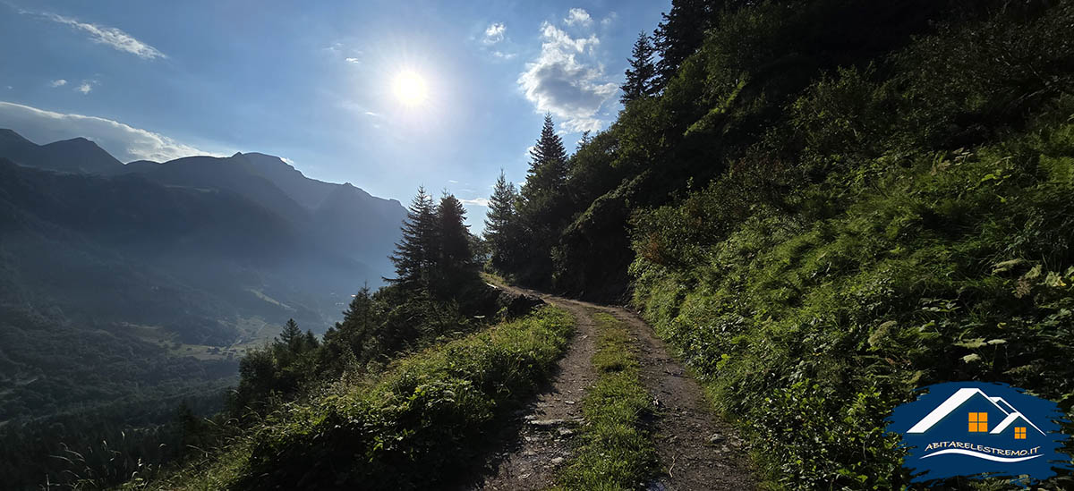 la poderale che sale verso l'Alpe Vallé