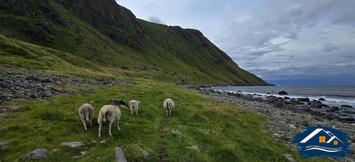 trekking - eggum - unstad - norvegia - lofoten