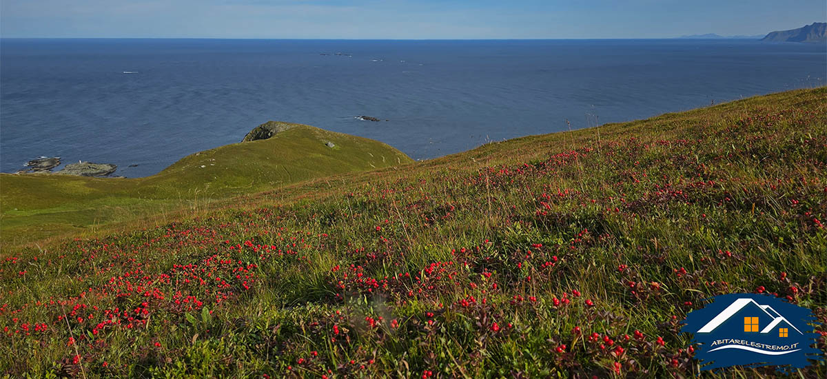 Stokvika - Lofoten - Norvegia