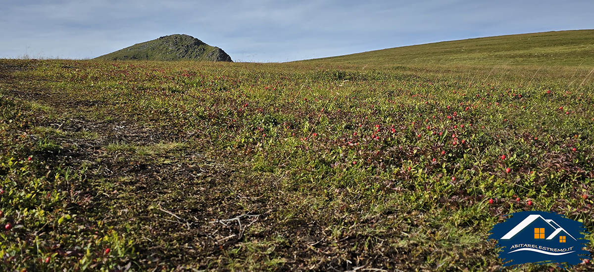 Stokvika - Lofoten - Norvegia