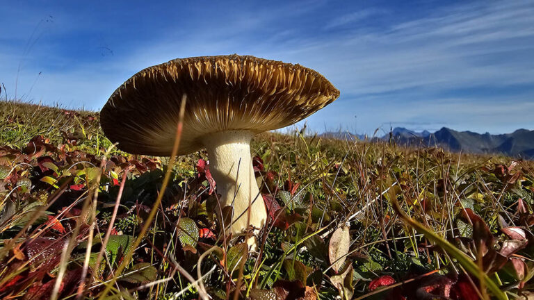 Stokvika - Lofoten - Norvegia