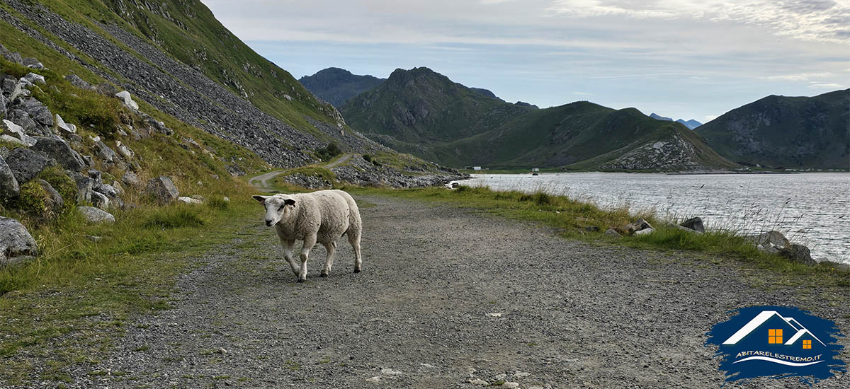 da Haukland a Uttakleiv (Norvegia - Lofoten)