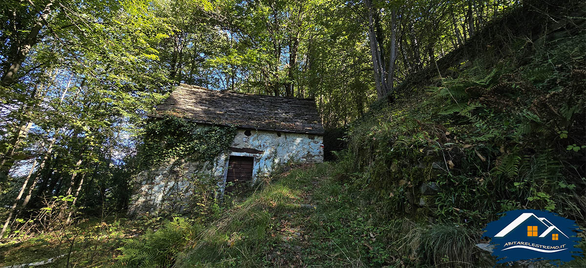 ruderi sul sentiero da Cosa a Cosasca