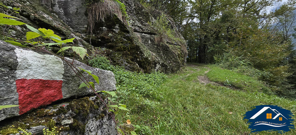 lungo il sentiero G11 Crodo - Cravegna