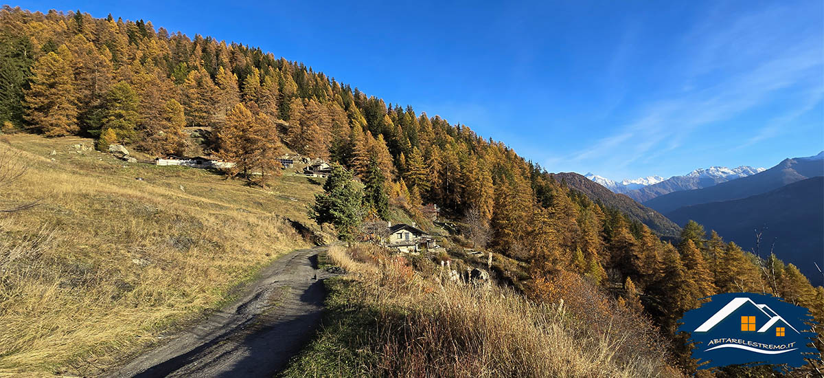 Les Ors - Valdigne