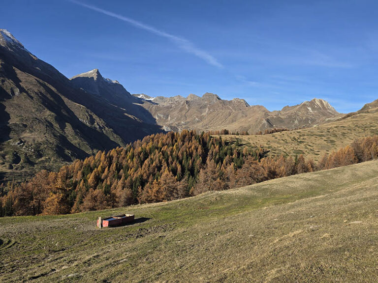 Les Ors - Valdigne