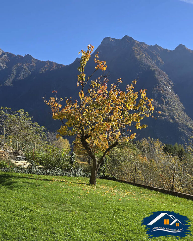 autunno in Valle Antigorio