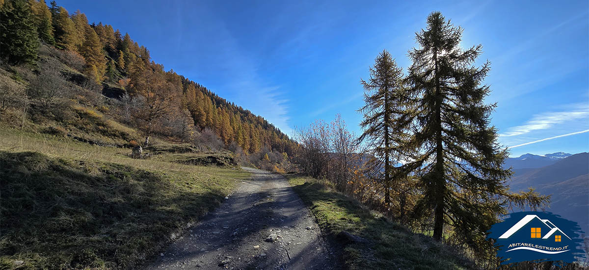 Les Ors - Valdigne