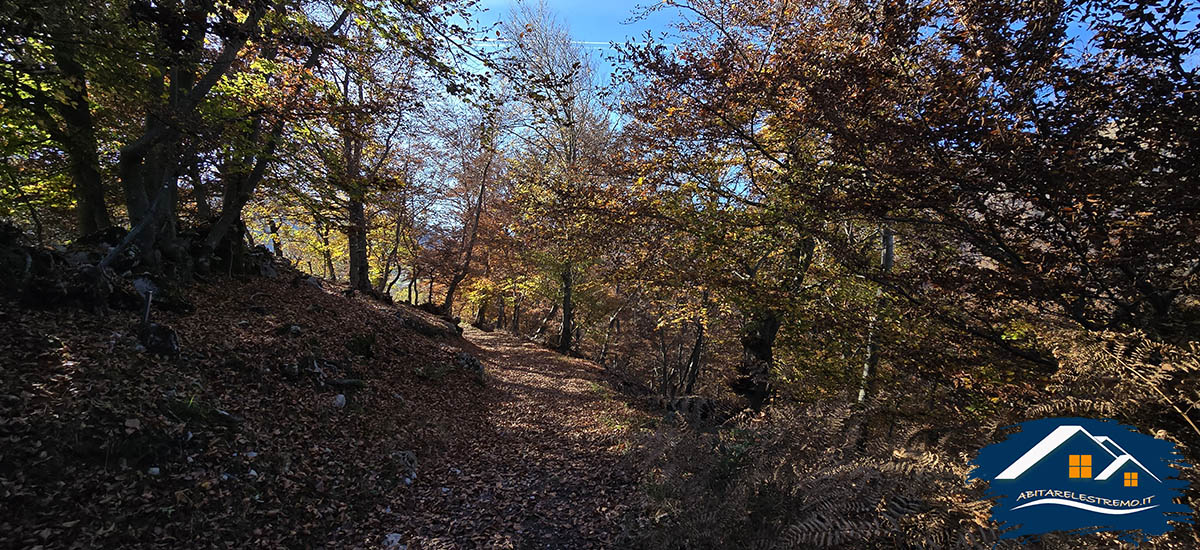 sentiero eremo di san zeno - valle d'intelvi