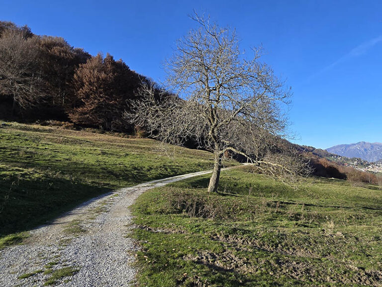 sentiero eremo di san zeno - valle d'intelvi