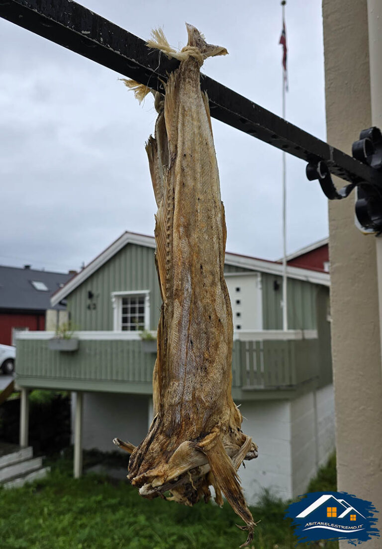 baccalà a hennigsvaer - lofoten - norvegia