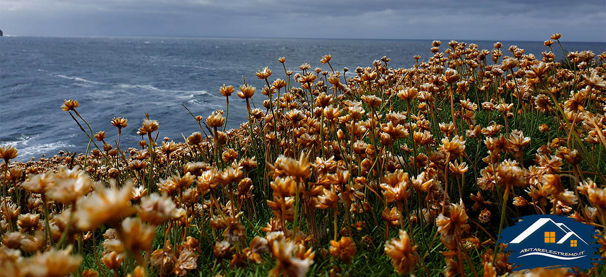 Brough of Birsay - Scozia - Orcadi