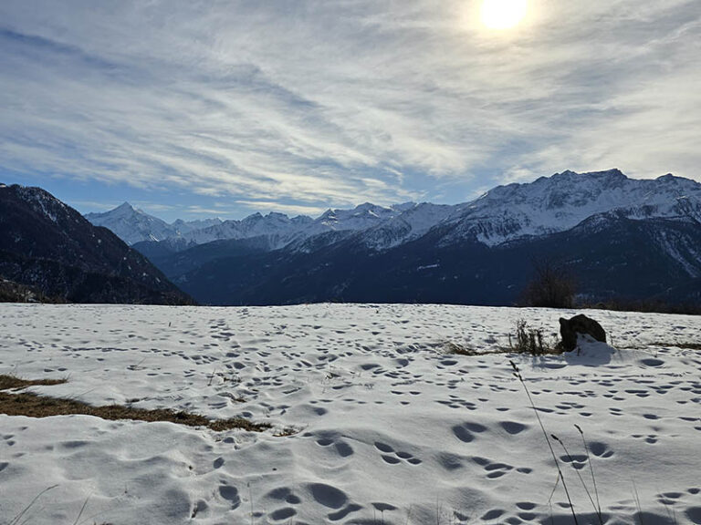 Challancin - Morge - Promenade à Vue - Valdigne