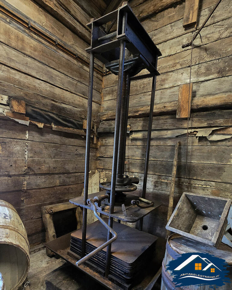 lofoten stockfish museum