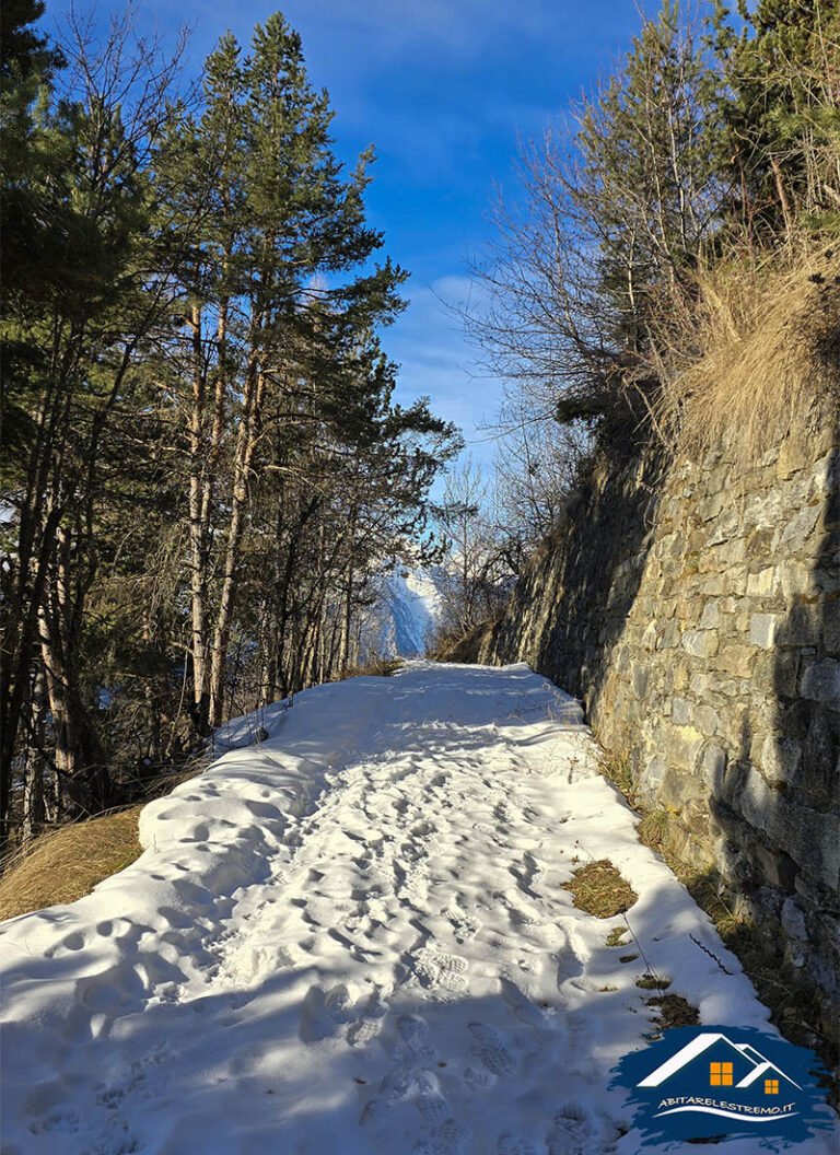 promenade a vue - challancin - morge - valdigne