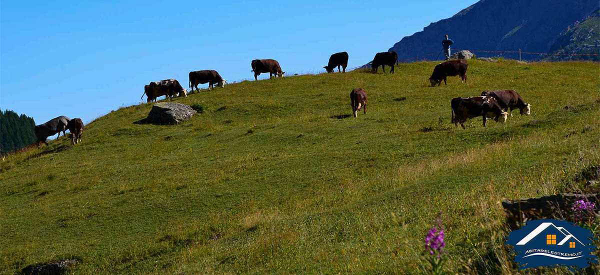 sentiero di salita rifugio l'epee - valgrisenche