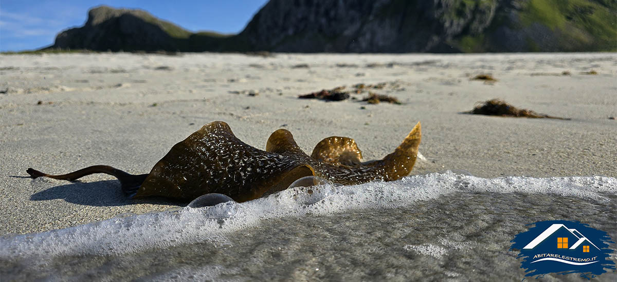 Skagsanden Beach - Lofoten - Norvegia