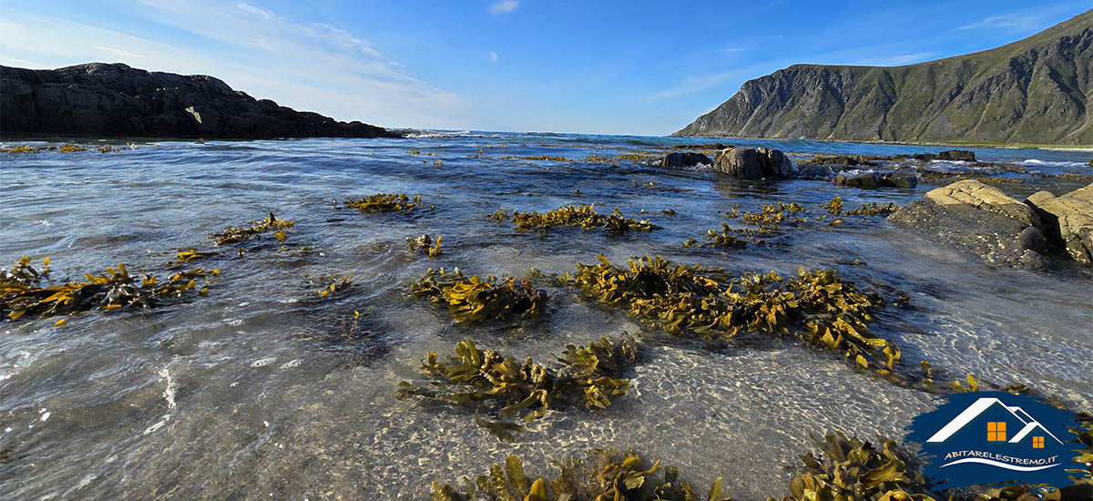 Skagsanden Beach - Lofoten - Norvegia