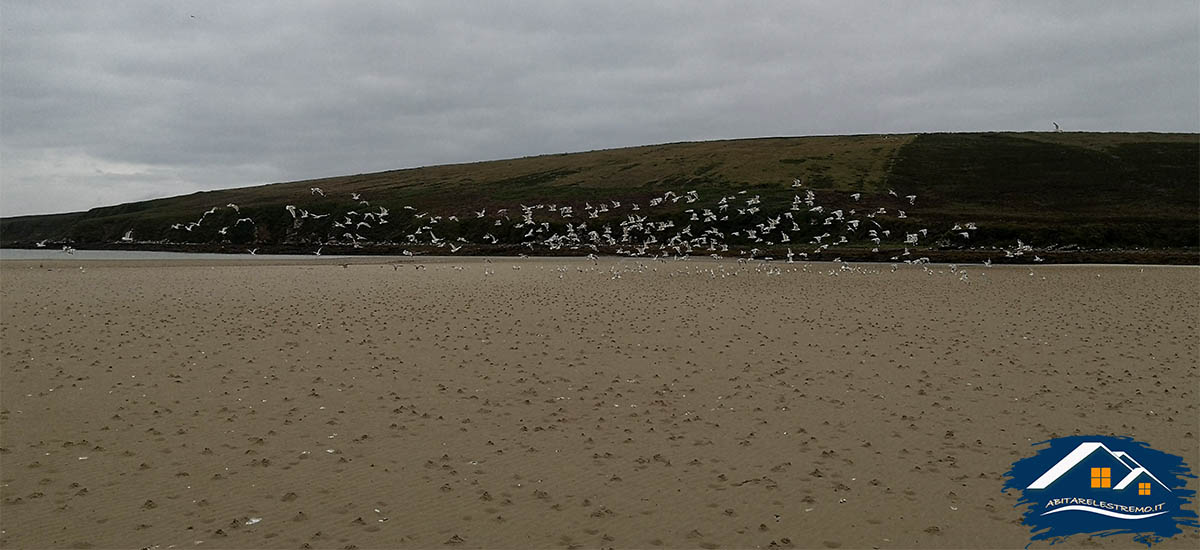 waulkmill bay - scapa flow