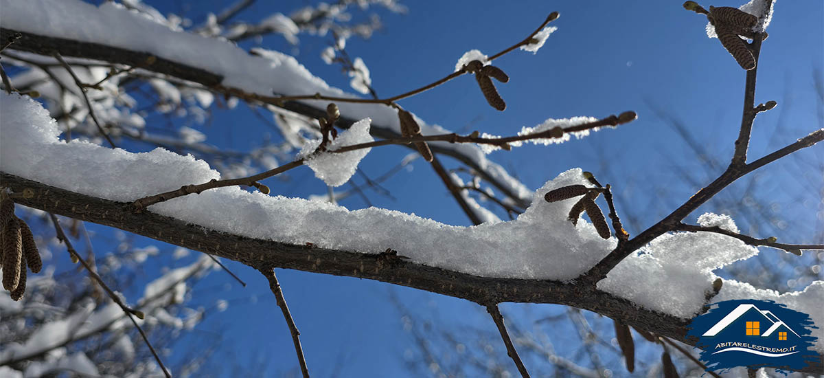 neve nel bosco di Challancin - Valdigne