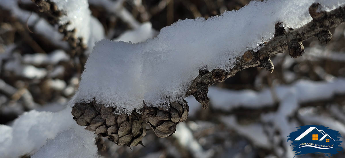 neve nel bosco di Challancin - Valdigne