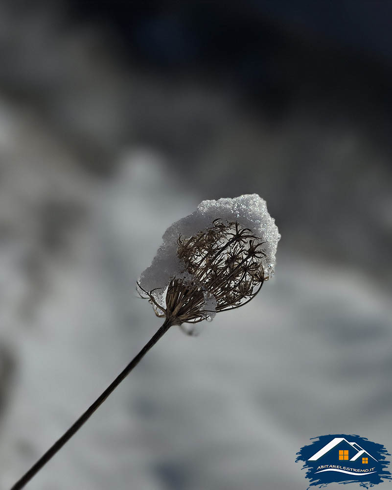 neve nel bosco di Challancin - Valdigne